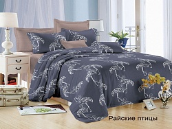 Комплект постельного белья Евростандарт Felicita, Райские птицы