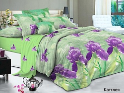 Комплект постельного белья Евростандарт Felicita, Каттлея