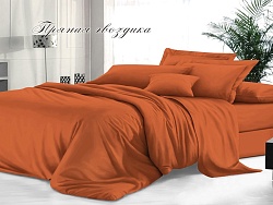 Наволочки 50х70см, гладкокрашеный сатин, Пряная гвоздика (2шт)