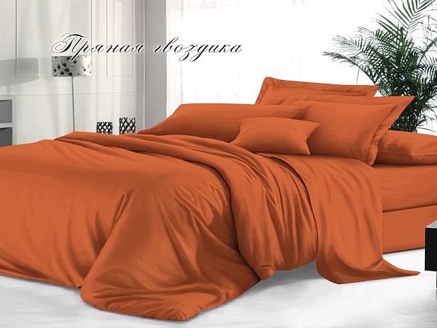 Комплект постельного белья Семейный гладкокрашеный "Sateen De Luxe" Эльф, Пряная гвоздика