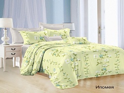 Комплект постельного белья Евростандарт Satin Collection, Ипомея