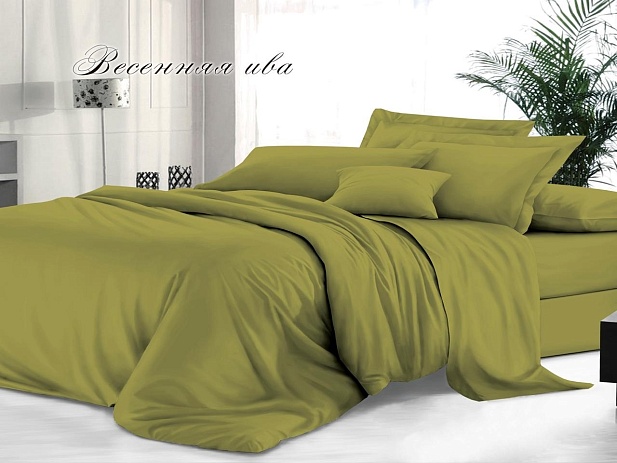 Комплект постельного белья 2-х спальный Felicita, Весенняя ива