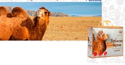 Одеяло из верблюжьей шерсти облегчённое Евро 200х215см, 150 гр/кв.м.(Эльф)