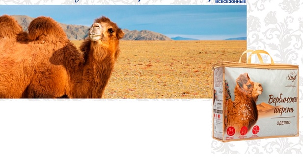 Одеяло из верблюжьей шерсти "Всесезонное" в чехле из микрофибры, 200х215см (Эльф)