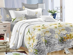 Комплект постельного белья Евростандарт Felicita, Летисия